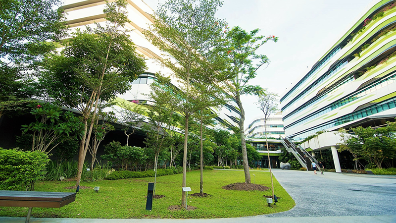 受疫情影响 新加坡科技设计大学将延迟开学至9月14日