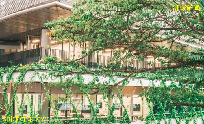 NTU 团队利用 VR 研究垂直绿化对缓解人们压力的作用