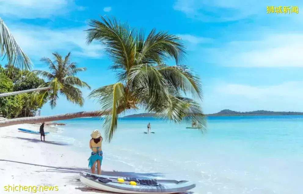 新加坡为何着急开放?旅客暴跌86%、本周五新印旅游泡泡启航