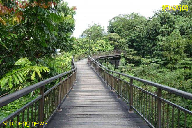 新加坡是怎样一步步成为“花园城市”的!