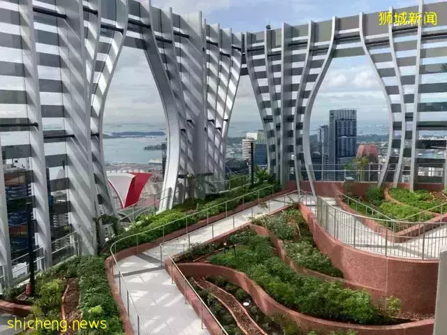 CapitaSpring大楼新加坡最新地标竣工,空中花园开放参观