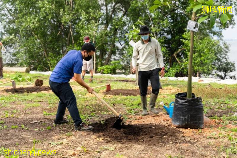 15公裏步道、紅樹林、親子遊…新加坡要建超大自然公園,看看是不是就在你家附近
