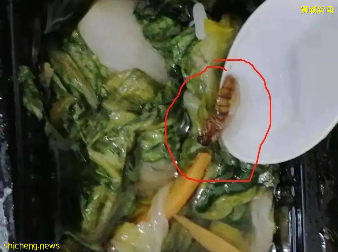 各界愛心人士同心協力爲客供宿舍捐物資,譜寫疫情下的新加坡溫情