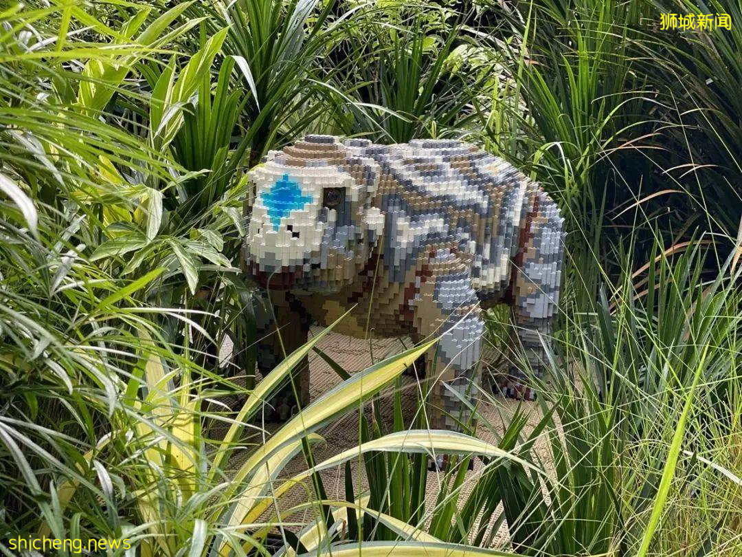 60只1:1尺寸乐高恐龙,出没新加坡动物园