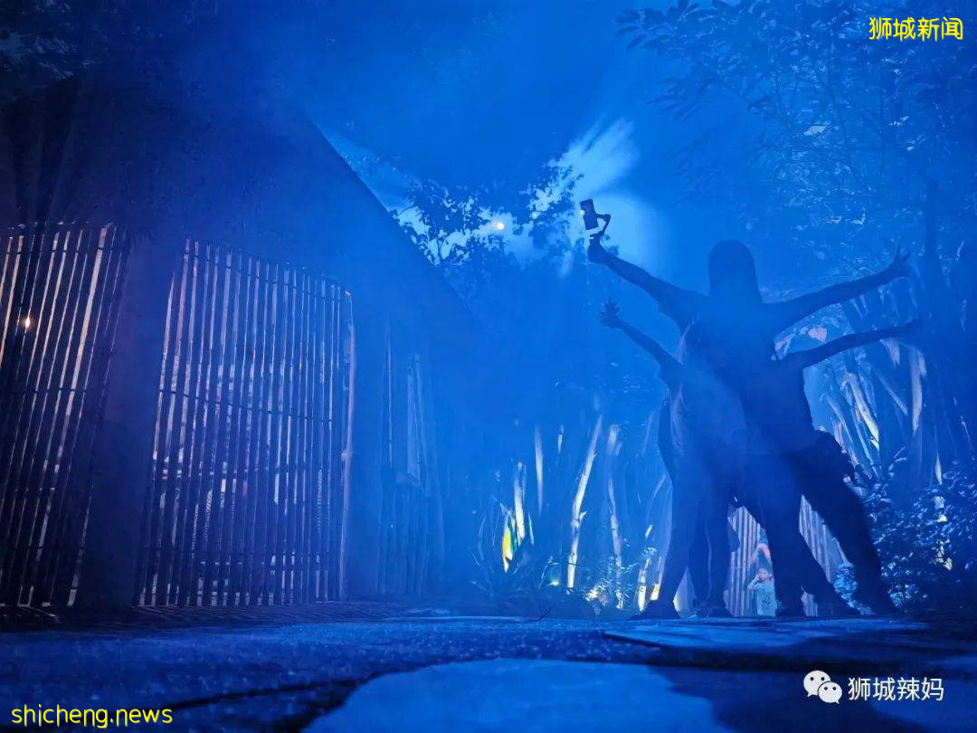 低至S$8！就3天！新加坡動物園“幻光雨林之夜”強勢回歸，亞洲第一夜遊體驗