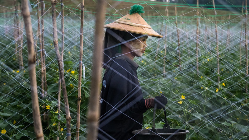 劳工组织：高收入国家移民劳工平均收入比本国劳动者低近13%