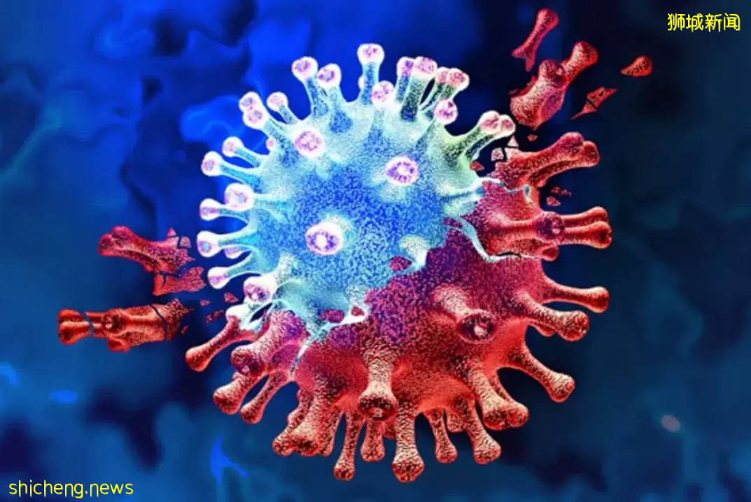 “該死的印度人滾回去！”新加坡街頭有人怒罵！本地上百例印度超級毒株B1617，或讓疫苗無效