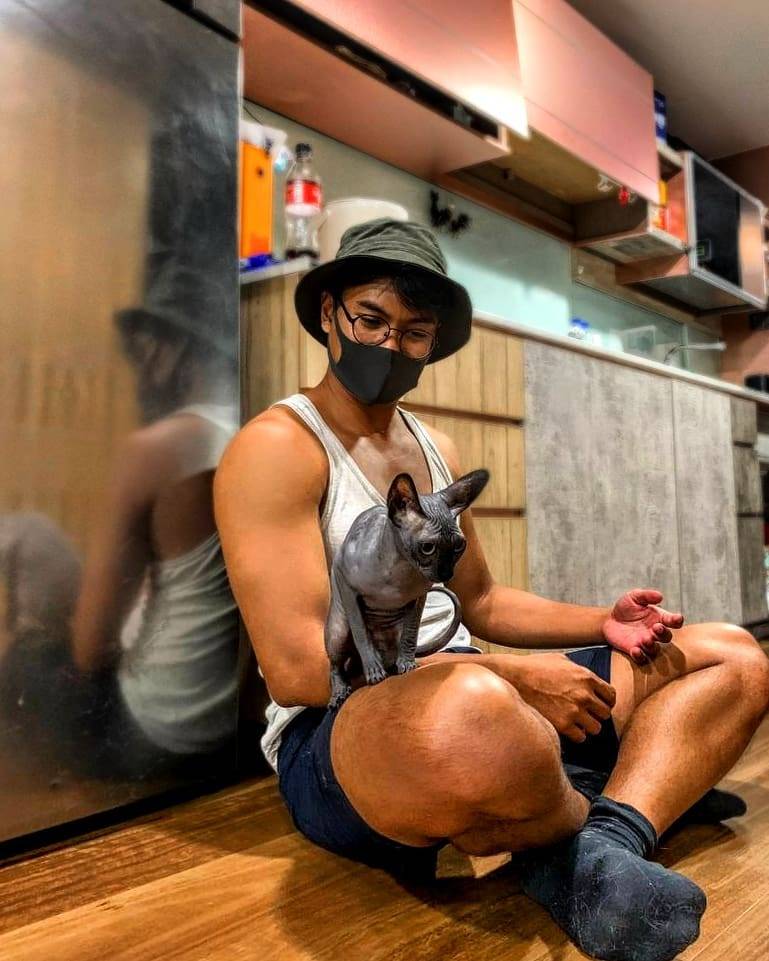 撸貓聖地🐈貓咪體驗館The Cat Place🐱現場沉浸吸貓,鏟屎官們必報到✨