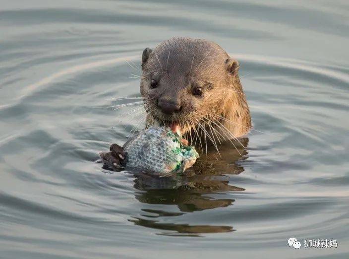 【春節去哪】免費電影票，15部賀歲大片，24小時最美書店，自助餐買1送1，high起來