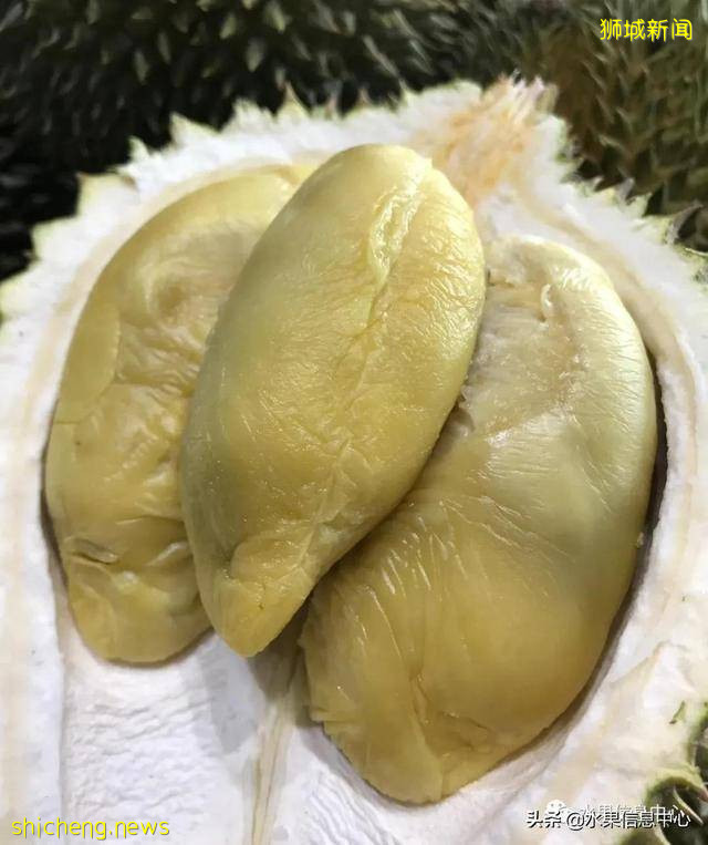 超火爆的榴梿主题餐厅,榴梿控挚爱的party怎能错过