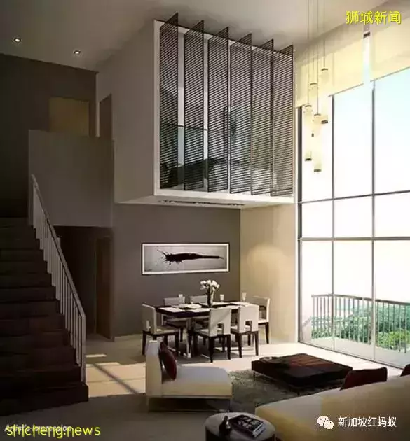 新加坡政府组屋原来有这么多豪华“变异户型”,有地住宅和LOFT复式都全了