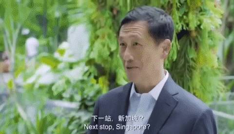 香港飛新加坡機票被搶空！現在去香港旅遊全攻略，酒店太便宜了