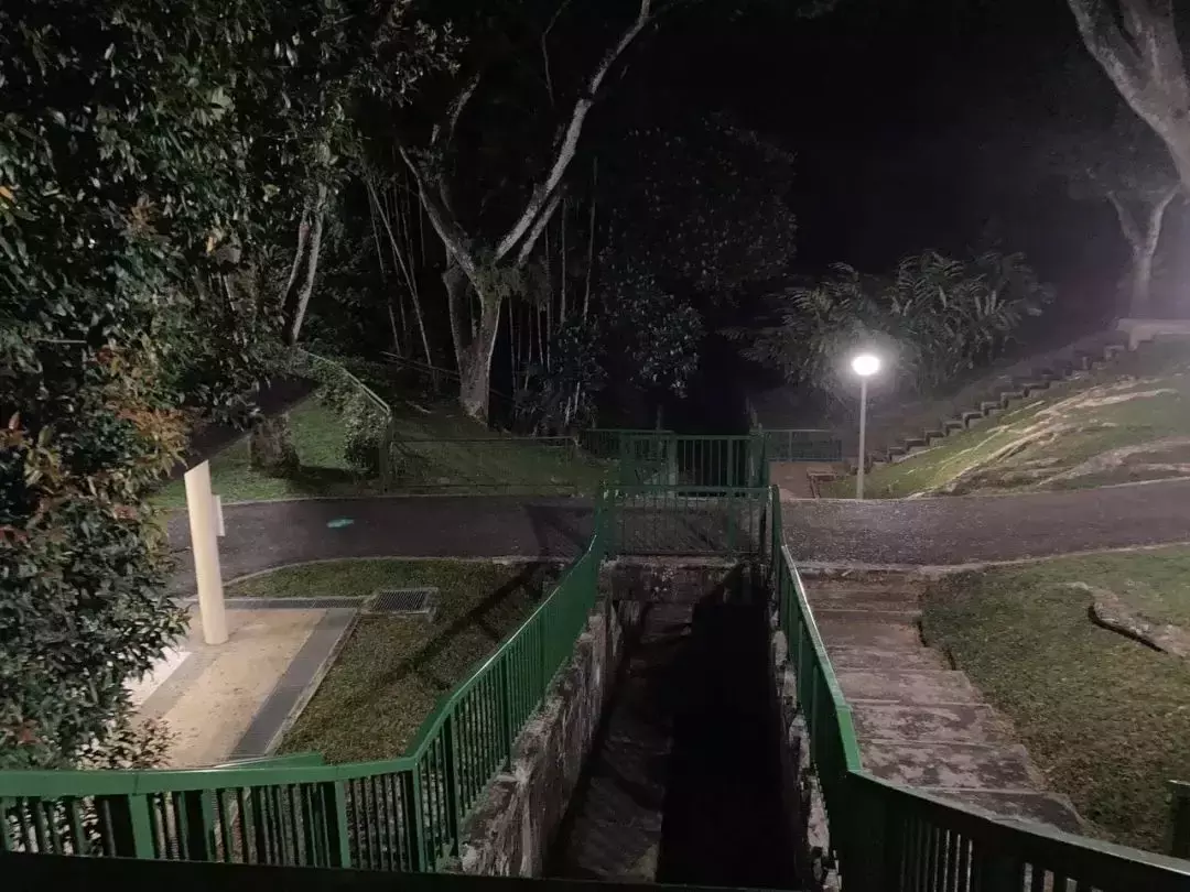 最新跟進！新加坡男童雙屍案，親生父親涉謀殺被捕