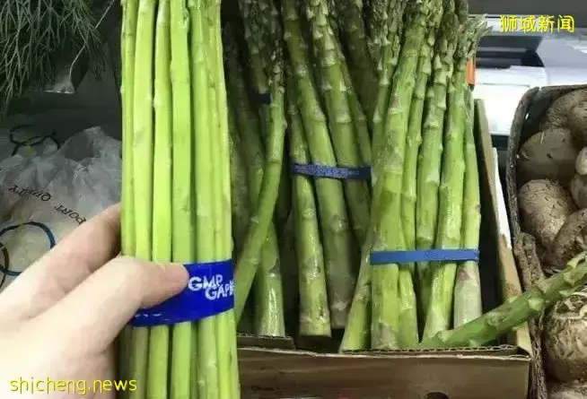 新加坡全球第二贵？最近连垃圾费都涨了