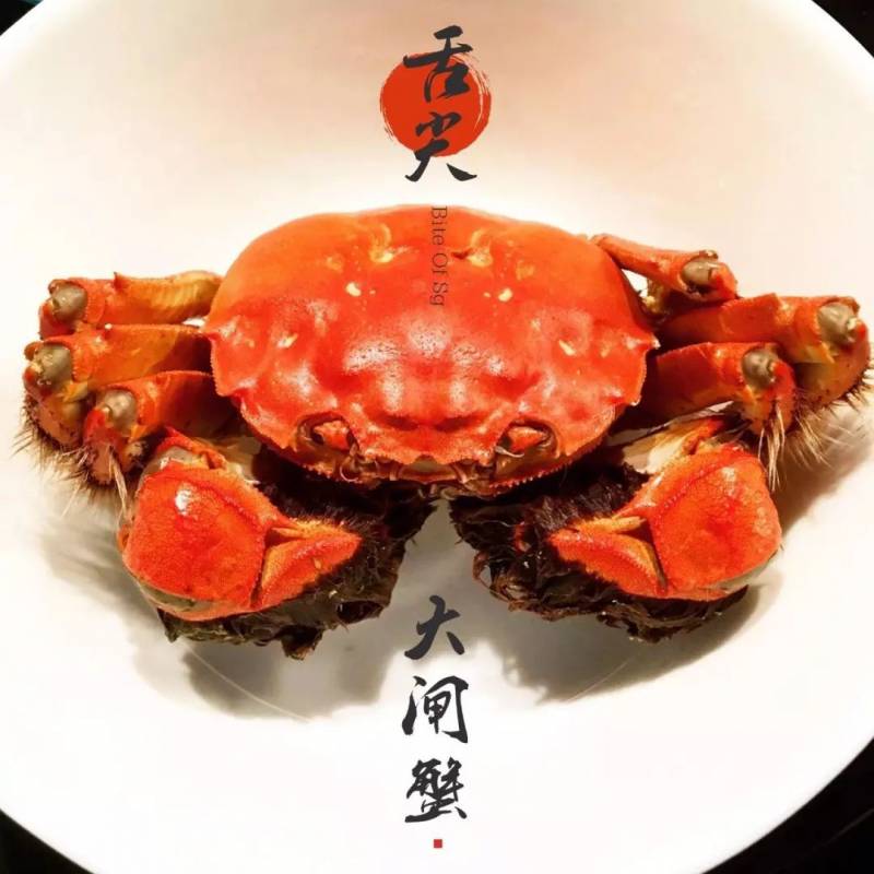 刚出湖边,又上舌尖的大闸蟹,狮城的你想吃大闸蟹?安排