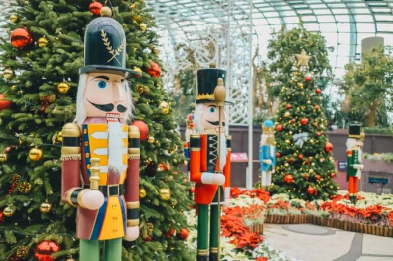 今天起，新加坡一波新政生效，影響全島每個人！12月活動太炸了