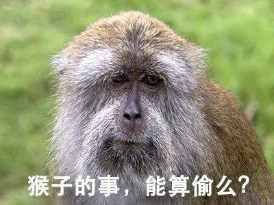 呼籲!打擊 NTU 校園黑惡勢力刻不容緩