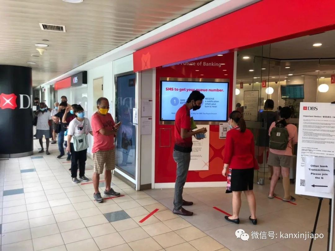 新加坡解封第一天,这些地方大排长龙,就连鸡也跑出来了......