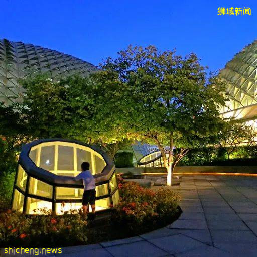 新加坡解封後,10個兩人同行必打卡的有情調好地方