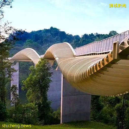 蒸笼一样的学校、积木一样的住宅、花园一样的酒店,就问你这些迷幻设计,你high吗