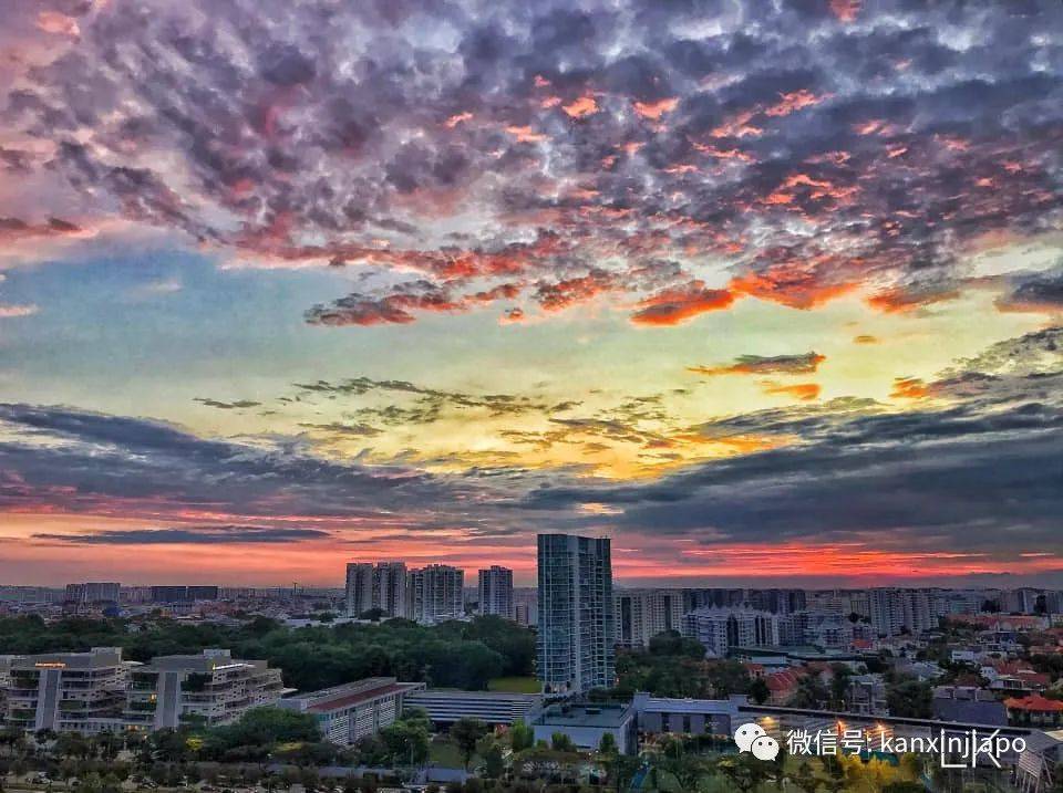 新加坡清晨出現粉紫色“神仙”天空!大波美圖驚豔全島