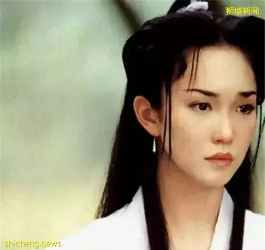 九十年代新加坡電視劇中美女如雲,如今她們境遇如何