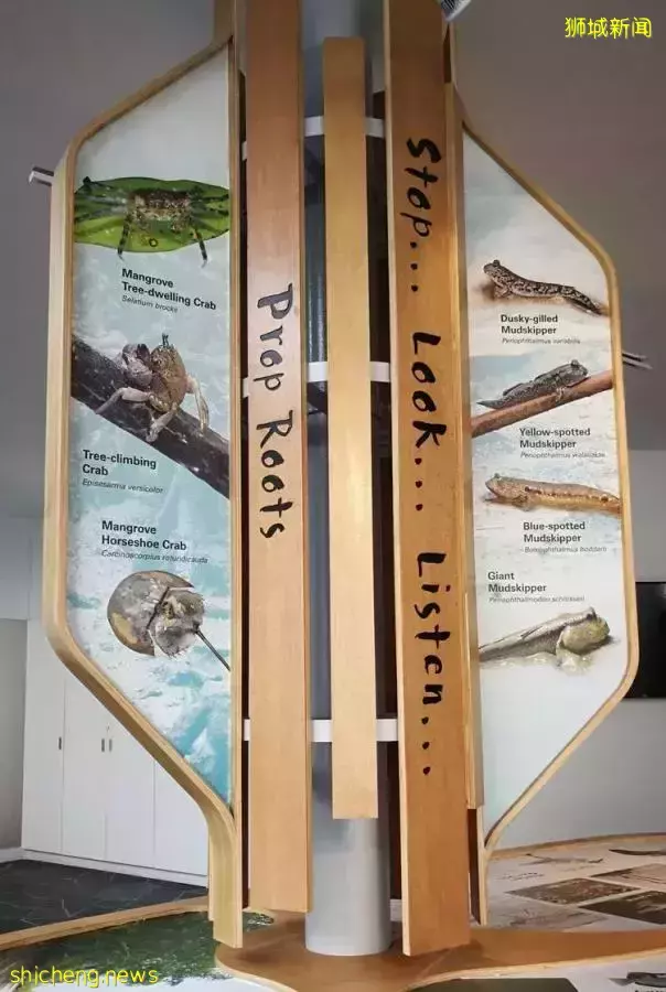 《即刻隨心所想，心想獅城》新加坡生態遊系列2