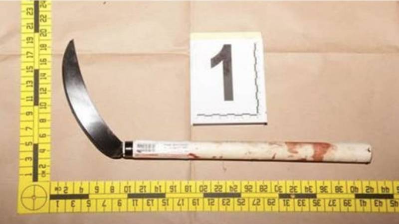 袭警,冒充执法人员!是吃了熊心豹子胆吗