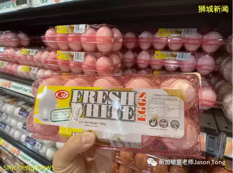 俄罗斯和乌克兰开战,新加坡将受哪些影响