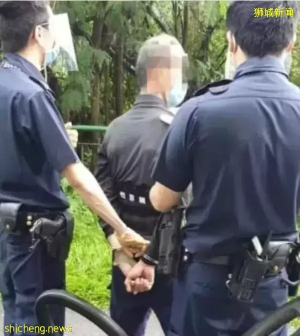 我屮艸芔茻!新加坡男子不戴口罩非法“采药”、更持凶器致执法人员伤残