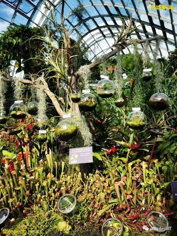 新加坡-網紅景點拍照篇!