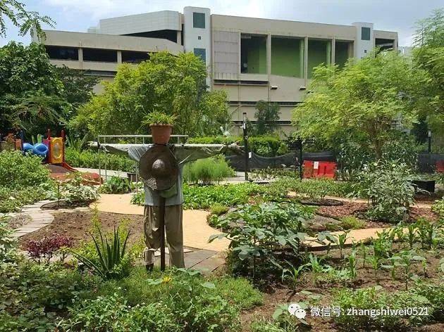 新加坡遊記系列 行走在南部山脊