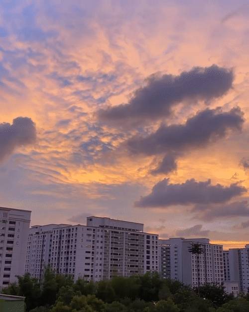 疫情過後，新加坡更讓全世界羨慕