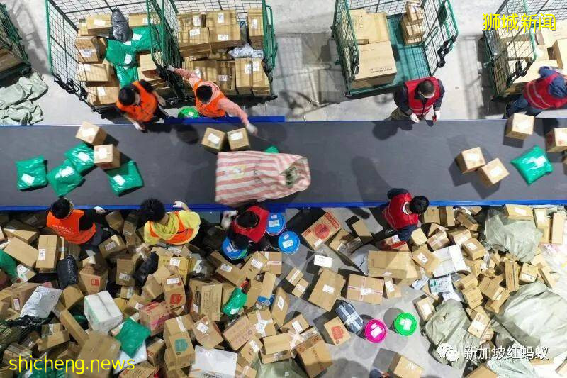 新加坡人愛上Made in China 中國電商平台成了網購首選