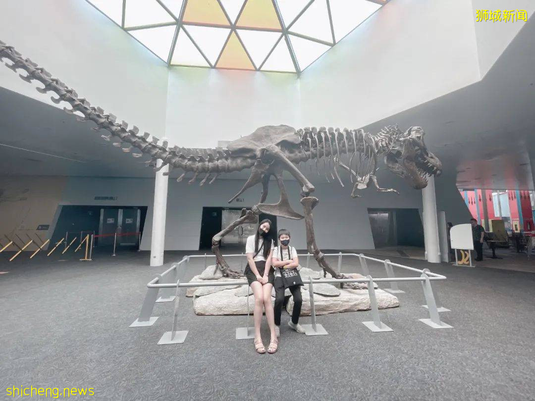 送票!獨家85折!火爆全球的達芬奇展,終于來新加坡啦!搶先看