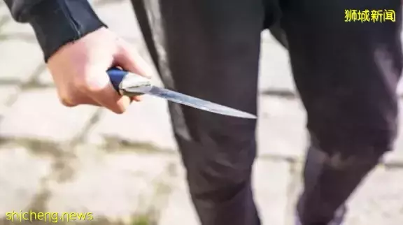 胆大包天！一男子光天化日在新加坡持刀袭警
