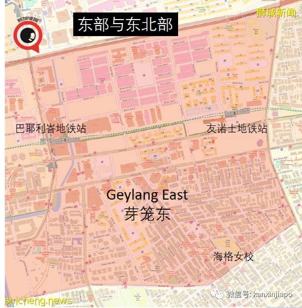 新加坡小学生抗疫新常态,返校每两周捅一次鼻子