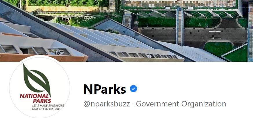 快看!新加坡到处都开花了,一大波美图刷屏