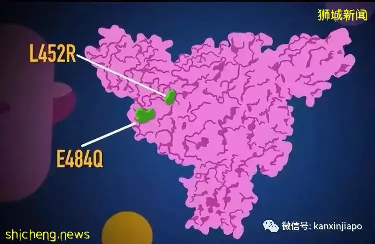 反反複複，新冠病毒生命力爲什麽如此“頑強”