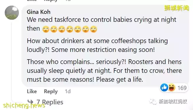 新加坡特色!野鸡有“鸡权”,遭居民投诉鸡啼扰民必须成立工作小组解决问题