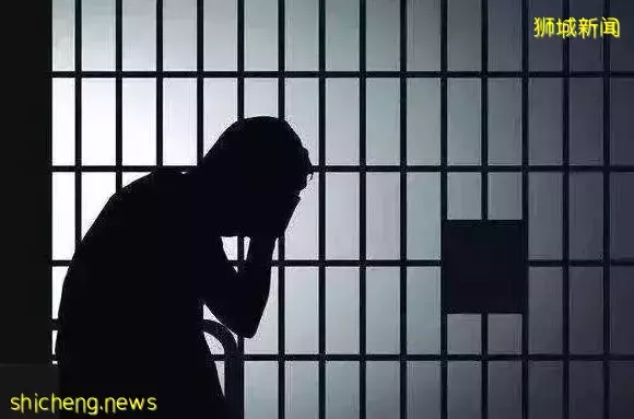 别不信邪，敢在新加坡动歪心思行贿受贿，三名华人结果悲剧了
