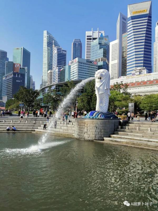 旅行记忆 美丽的新加坡