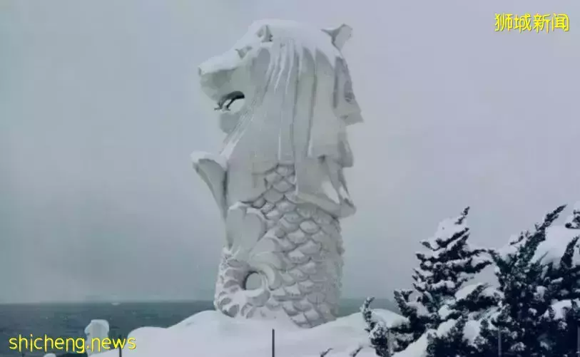 冬至！你在新加坡怎么过的？拜月老呀！特灵那种