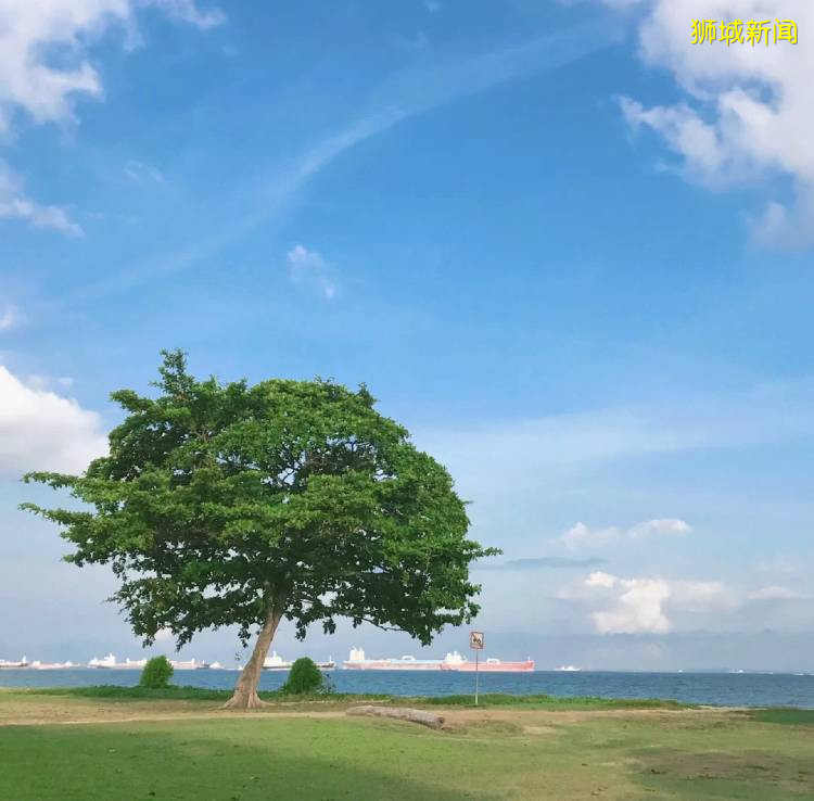 新加坡“惡勢力”源頭所在的“寶藏地”在哪裏