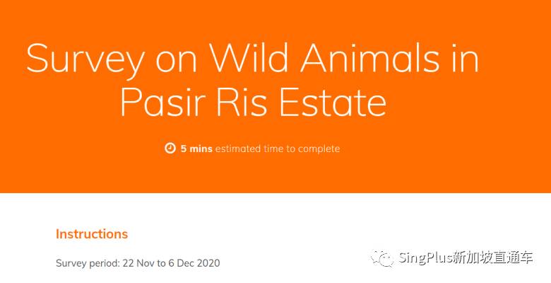 新加坡的野生动物也太不好惹了吧