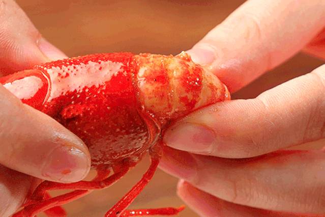 獅城老饕們,都去哪裏吃宵夜?這份深夜覓食指南請收好