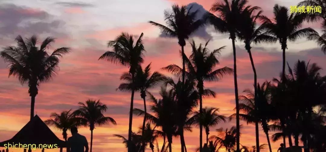 假期出遊 新加坡那些鮮爲人知的“寶藏”勝地