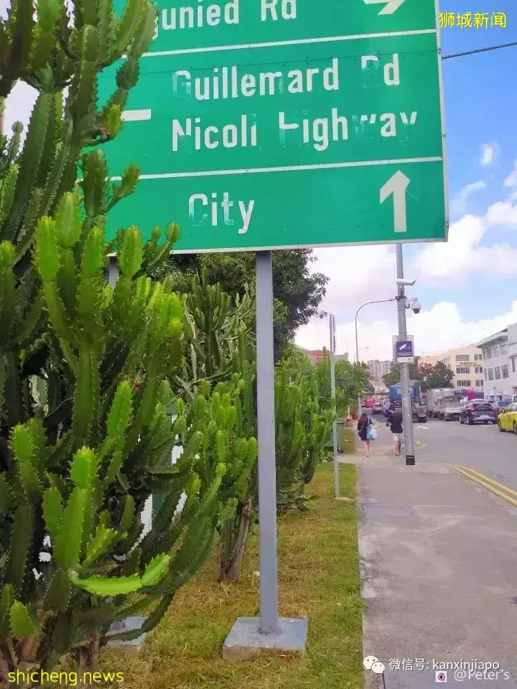 新加坡的“善”与“恶”——有人拾金不昧,有人专偷脚车