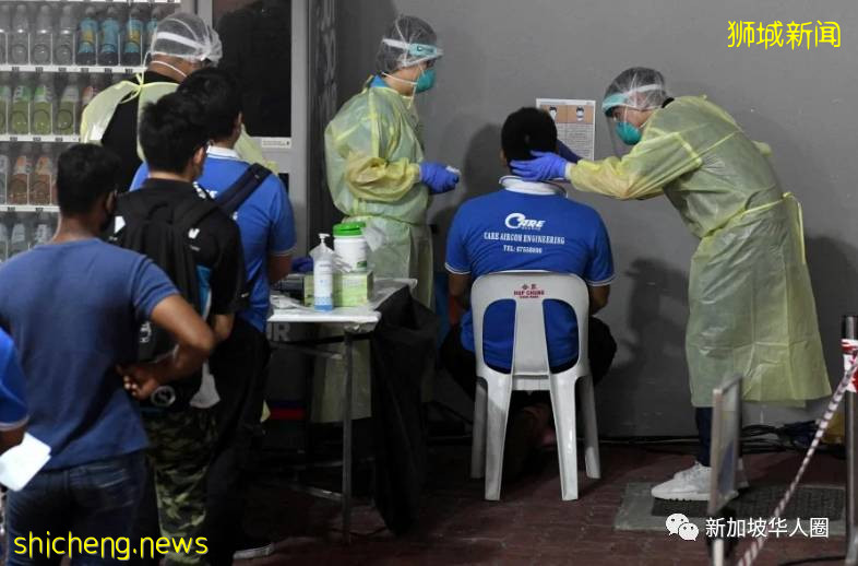 新增247例!新加坡病例持續下降!病毒傳播快要結束或已停止!