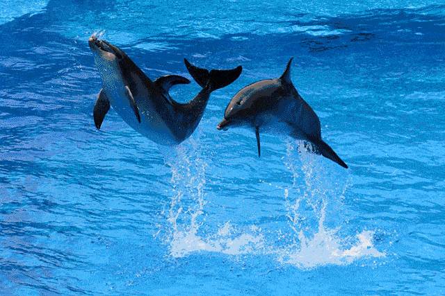 浪起來,新加坡水上運動大盤點